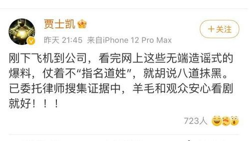 娱乐圈吃瓜的语录,揭秘明星背后的故事